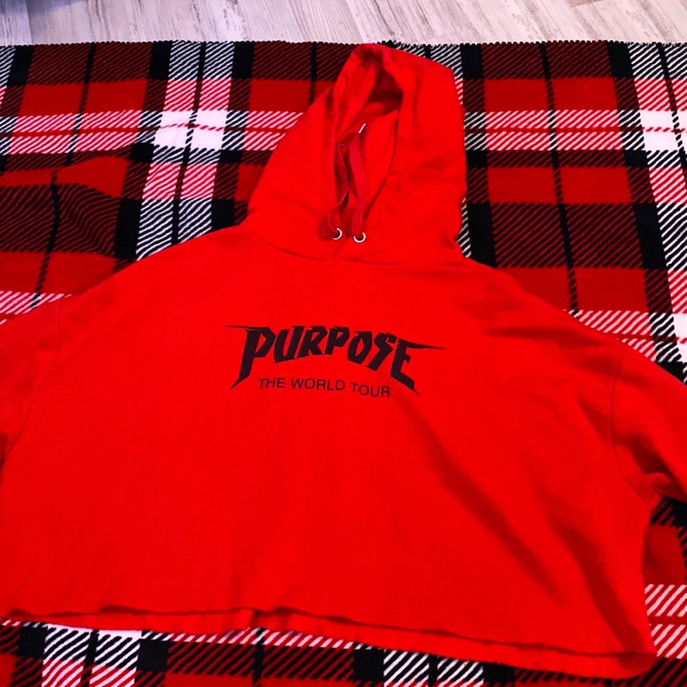 Justin Bieber Cropped Hoodie